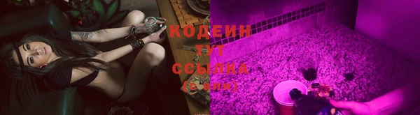 прущий лед Ельня