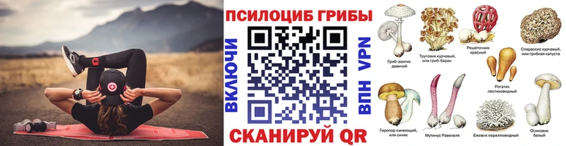 Псилоцибиновые грибы ЛСД  Купить закладки  Альметьевск